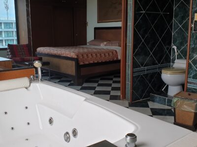 Huge Penthouse Available